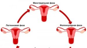 Что будет если девушка получает оргазм при месячных