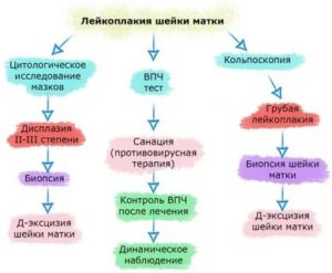 Витамины при лейкоплакии шейки матки