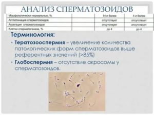 Витамины при агрегации спермы