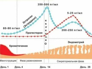 Прогестерон при климаксе как принимать