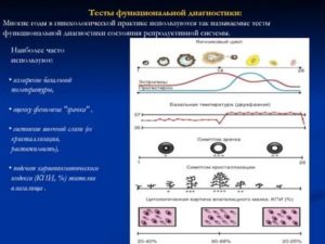 Тесты диагностики функционального состояния яичников