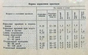 Как правильно кормить месячных крольчат