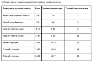 Какой должна быть толщина эндометрии при климаксе