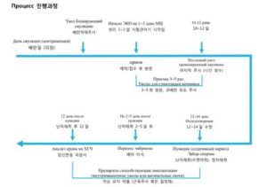 Стимуляция яичников при эко препараты по дням