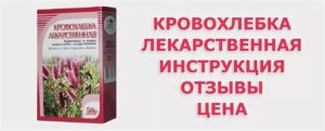 Лечение молочницы кровохлебкой