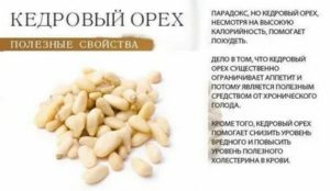Кедровые орехи настойка на водке лечебные свойства при миоме матки