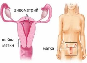 Гель для шейки матки как он вводится