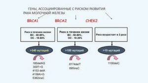 Мутация в генах при раке молочной железы chek2