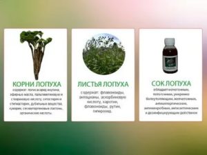 Как правильно пить сок лопуха при кисте яичника