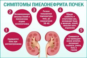 Кандидозный пиелонефрит симптомы
