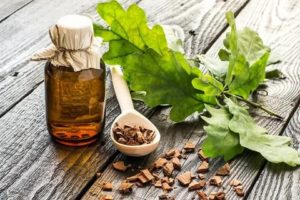 Кора дуба для лечения молочницы при беременности