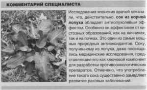 Как правильно пить сок лопуха при кисте яичника