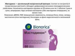 Мастодинон инструкция по применению капли при климаксе