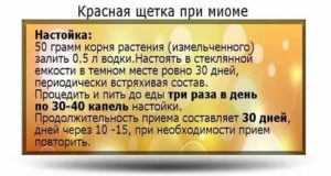 Народные средства для лечения эндометриоза и миомы матки народными средствами