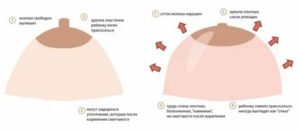 Как меняется молоко с месячными