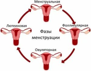 Как задержать месячные оральными контрацептивами