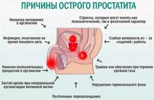 Если у партнера инфекционный простатит