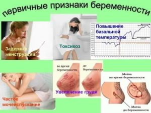 Когда проявляется беременность после месячных