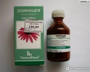 Применение настойки эхинацеи при молочнице