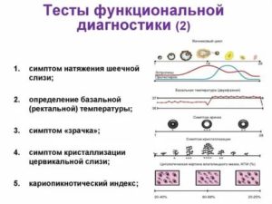 Тесты диагностики функционального состояния яичников