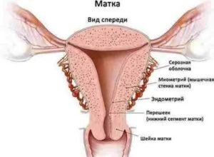 Когда могут начаться месячные при эндометрии 13