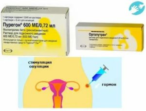 Препараты и методы для стимуляции овуляции