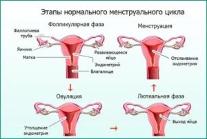 Может ли из за вагинальных свечей быть задержка месячных