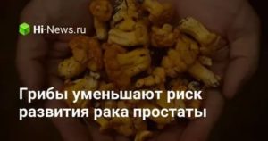 Грибы для лечения рака простаты