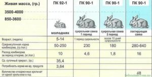 Как правильно кормить месячных крольчат