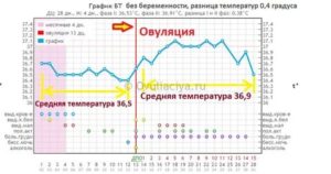 Может ли при беременности упасть бт в день предполагаемых месячных