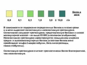 Может ли повышаться белок в моче перед месячными