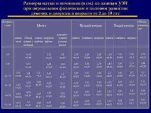 Норма узи матки и яичников нормальные размеры матки и яичников