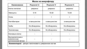 Мазок на флору у женщин что показывает молочницу