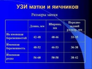 Норма узи матки и яичников нормальные размеры матки и яичников