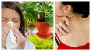Может при климаксе начаться аллергия