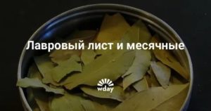 Как вызвать месячные при задержке в домашних условиях лавровым листом