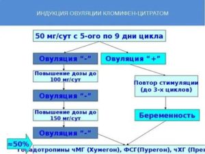 Современные методы индукции овуляции при лечении бесплодия