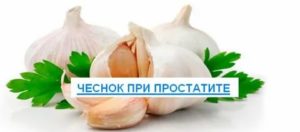 Чеснок при простатите и аденоме простаты