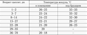 Какая температура должна быть у месячных бройлеров в домашних условиях