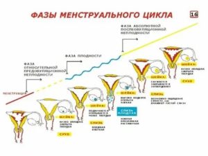 Может ли перед месячными бросать в пот