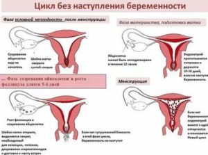 Что значит когда месячные идут всего два дня