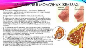 Могут ли быть при месячных чувствительными соски