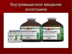 Ветеринарные препараты для лечения эндометрита у коров