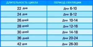 Как долго длится овуляция после месячных
