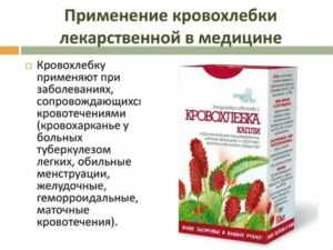 Лечение молочницы кровохлебкой