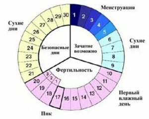 Когда лучше заниматься сексом до месячных или после месячных