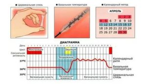 Может ли появляется овуляция быть во время месячных