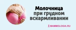 Молочница на грудных железах отзывы