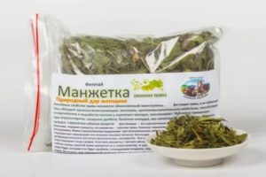 Манжетка лечебные свойства при климаксе