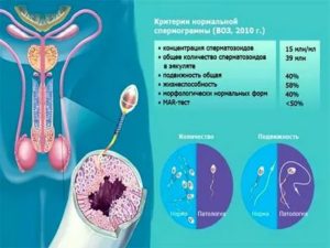 Какие таблетки убивают сперматозоиды